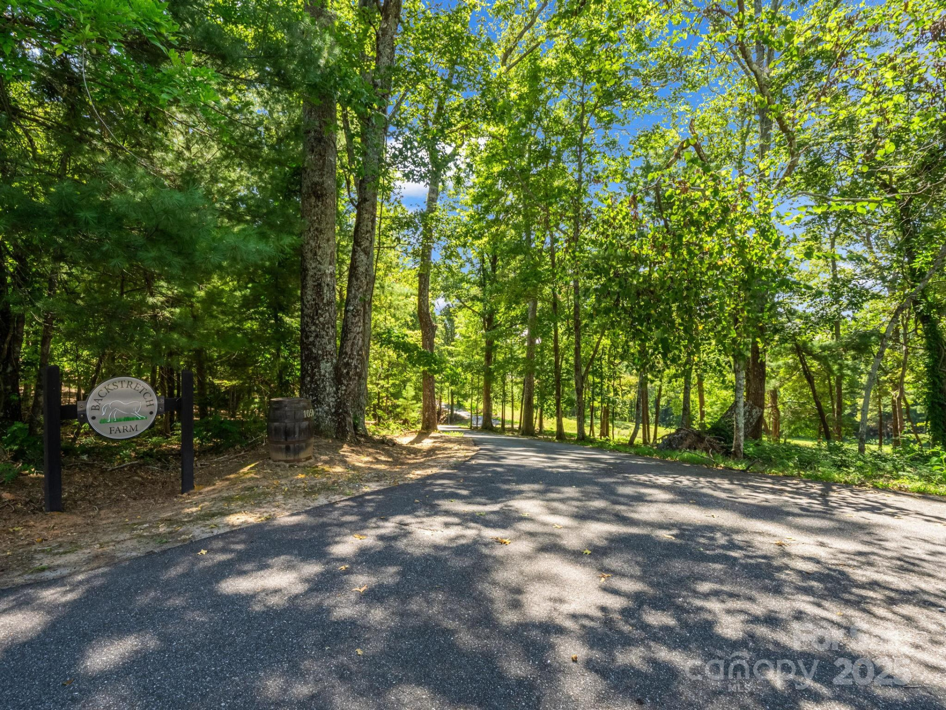 1050 Hunting Country Road - Photo 2