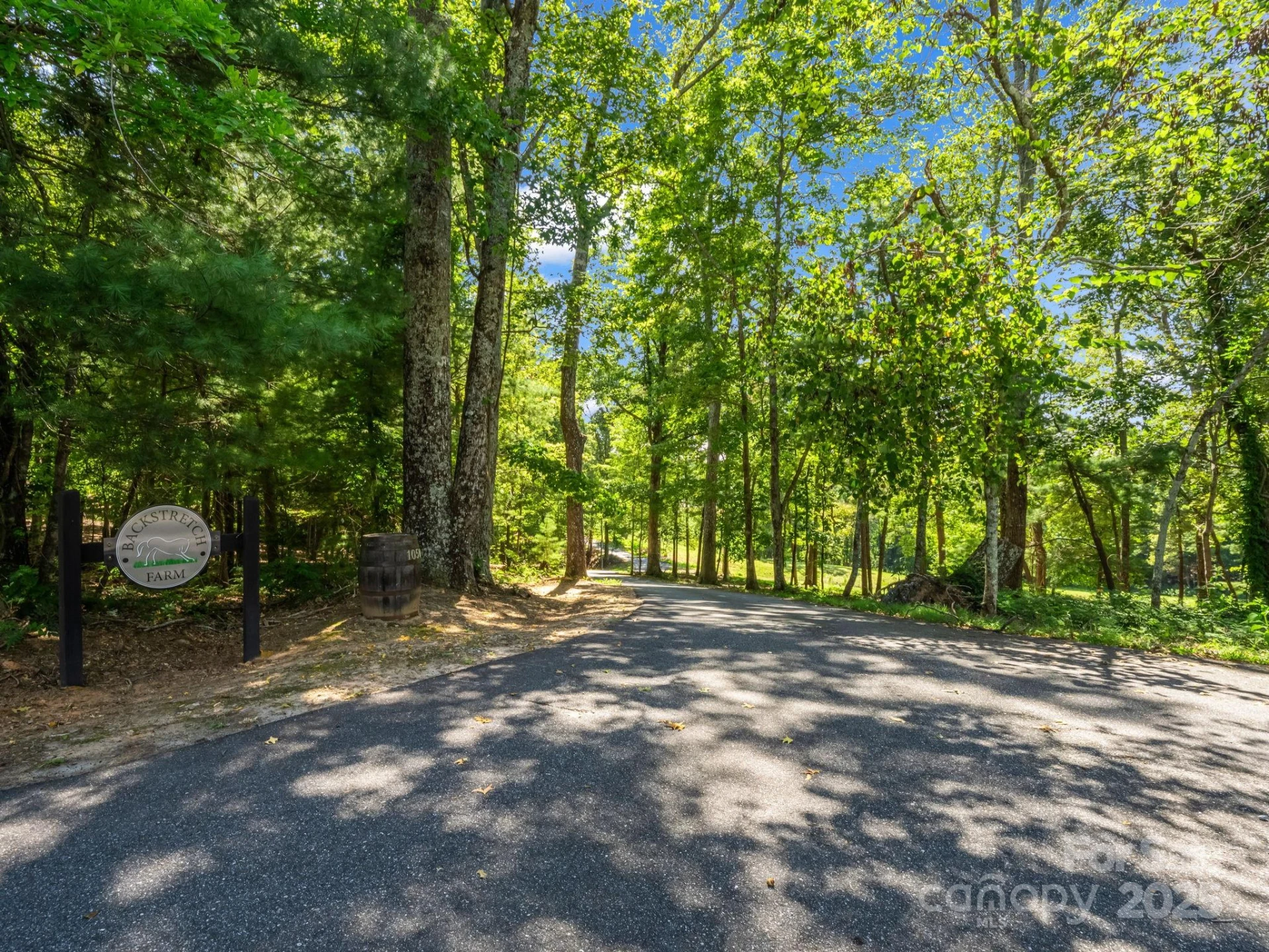 1050 Hunting Country Road - Photo 2