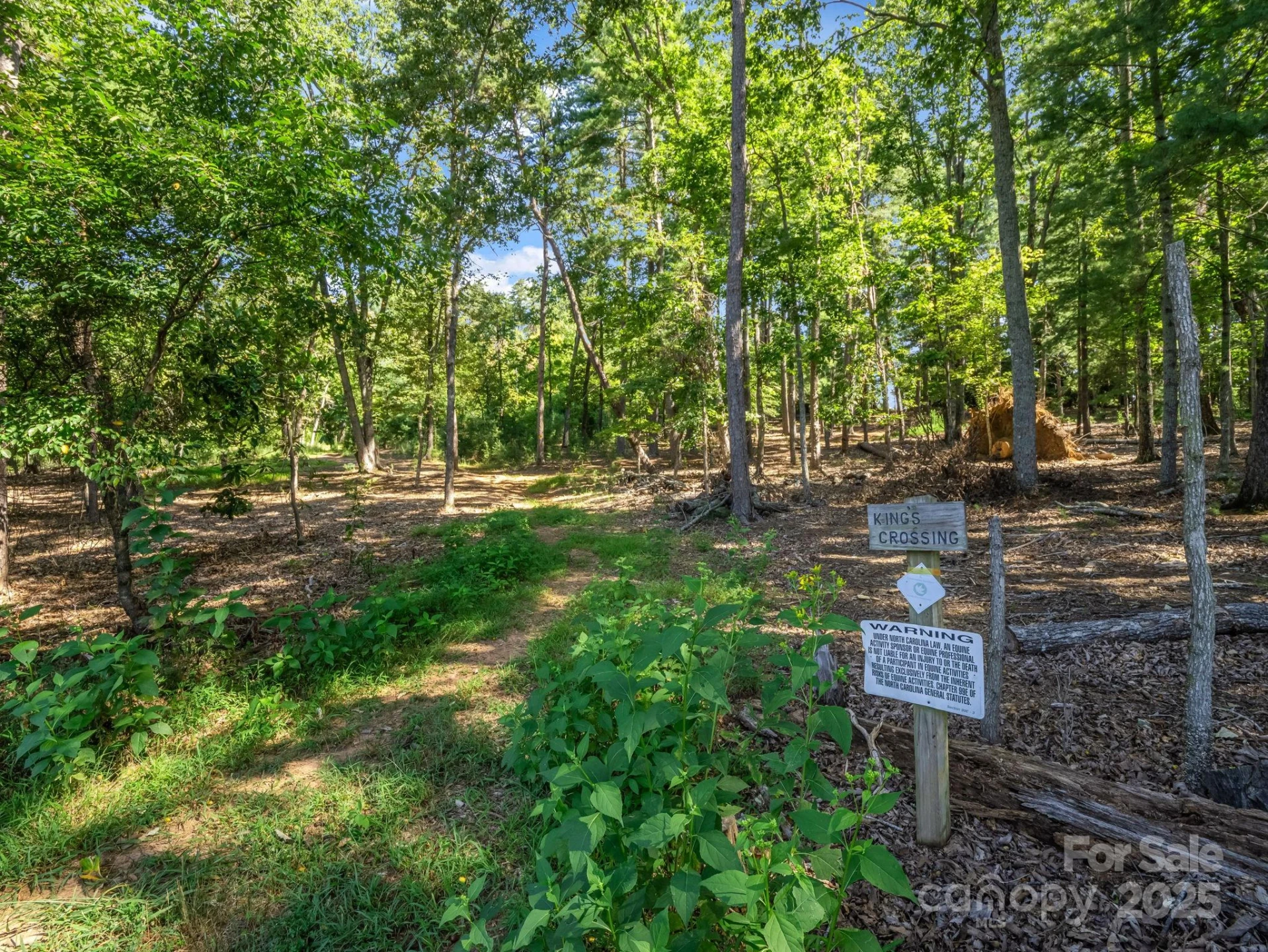 1050 Hunting Country Road - Photo 40