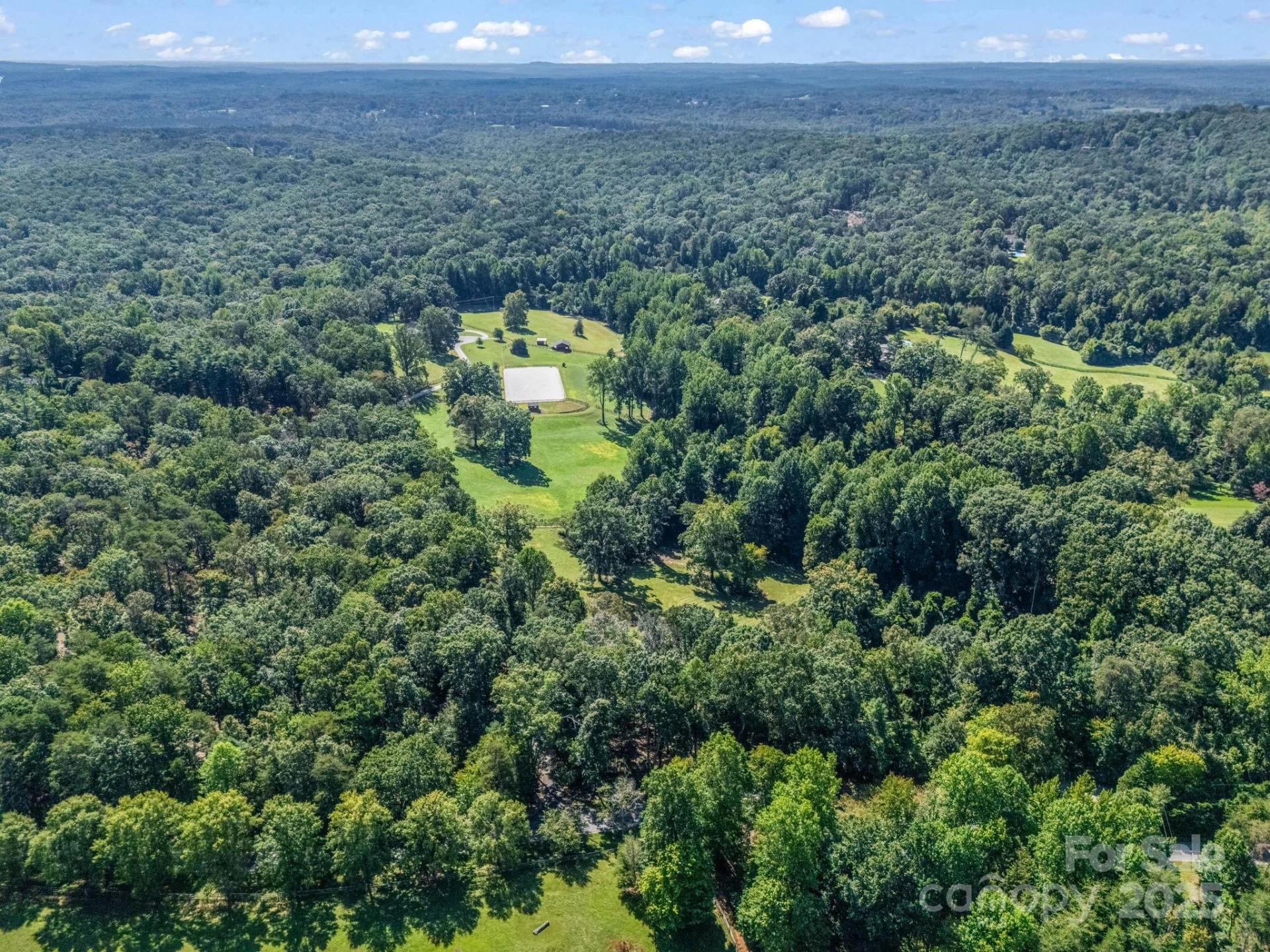 1050 Hunting Country Road - Photo 41