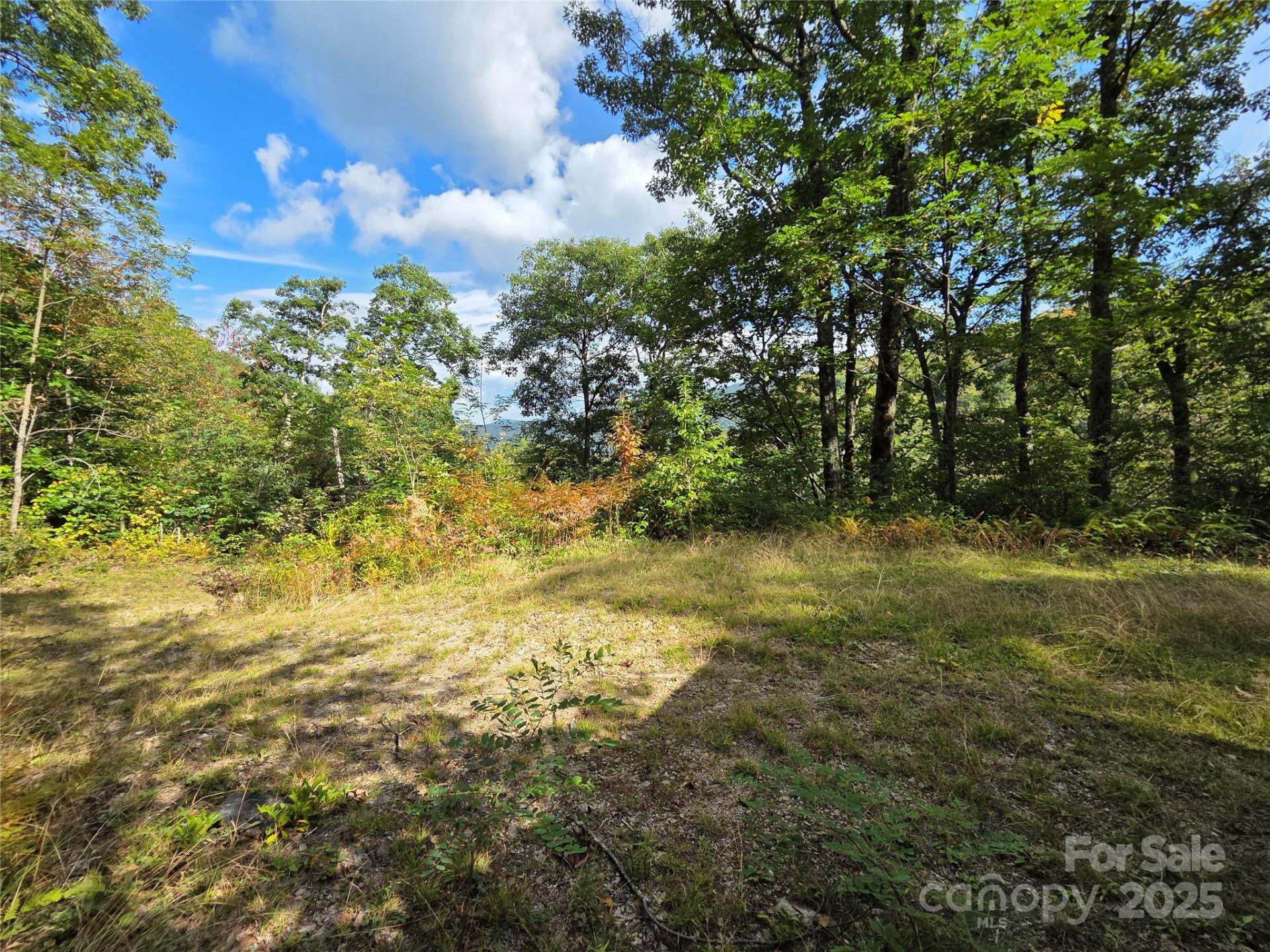 720 Autumn Drive - Photo 2