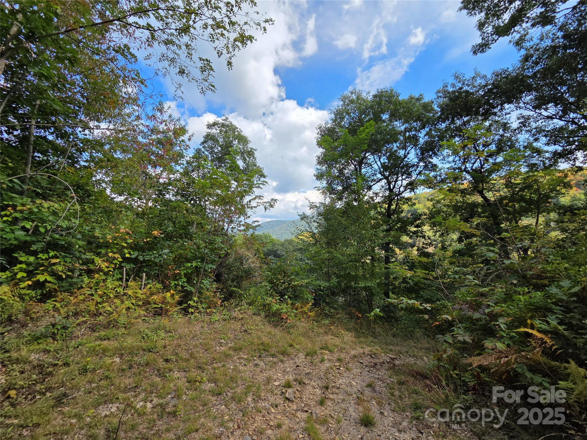 720 Autumn Drive - Photo 18