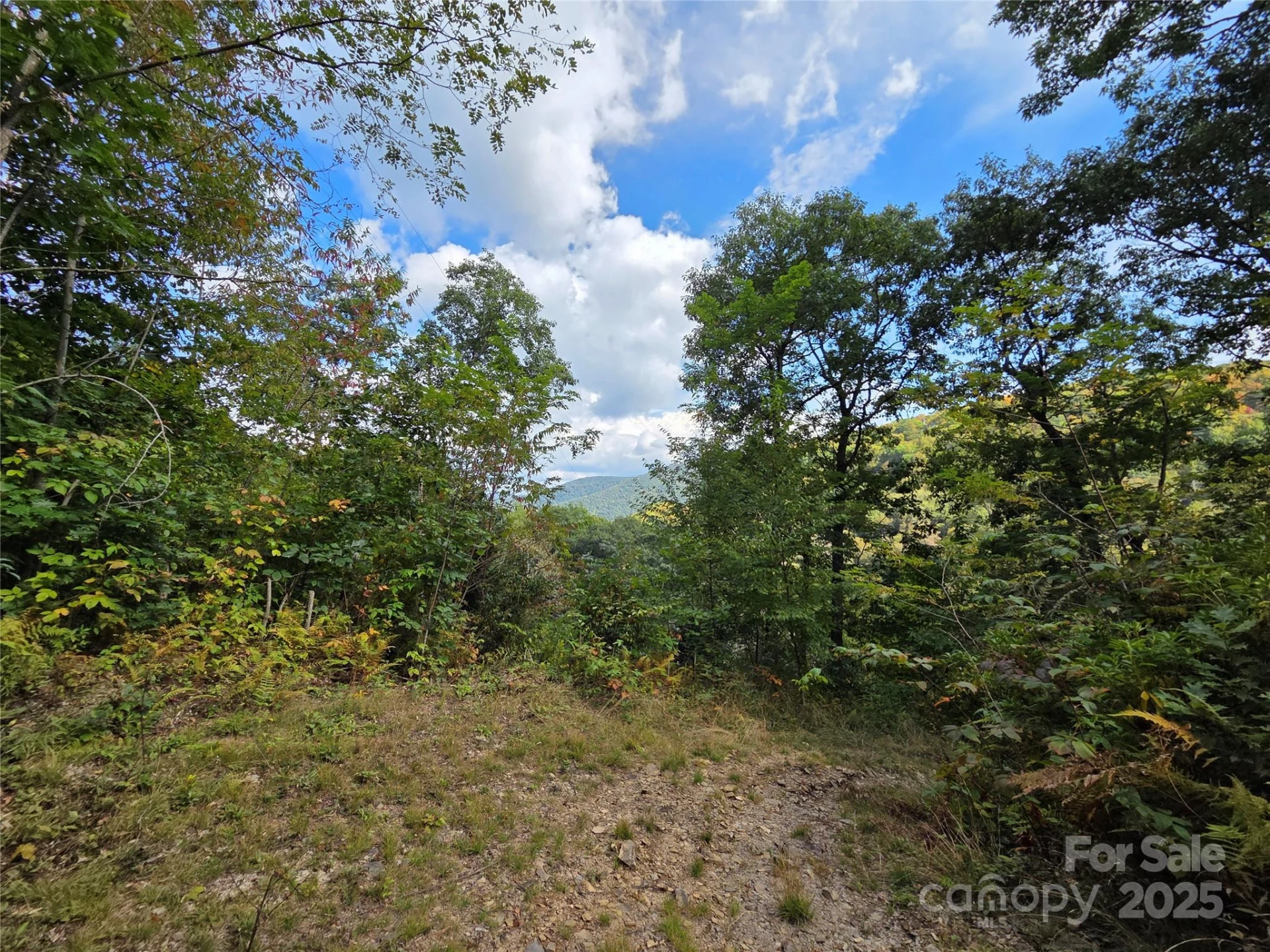 720 Autumn Drive - Photo 18