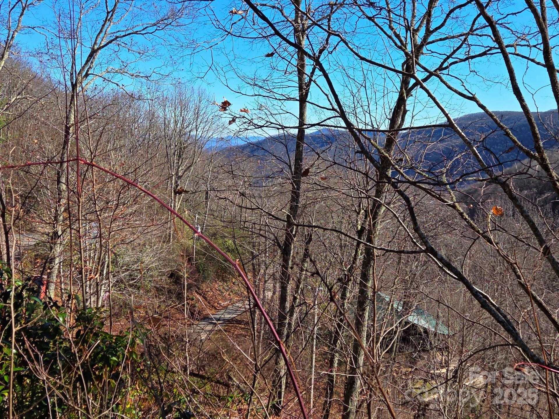 720 Autumn Drive - Photo 3