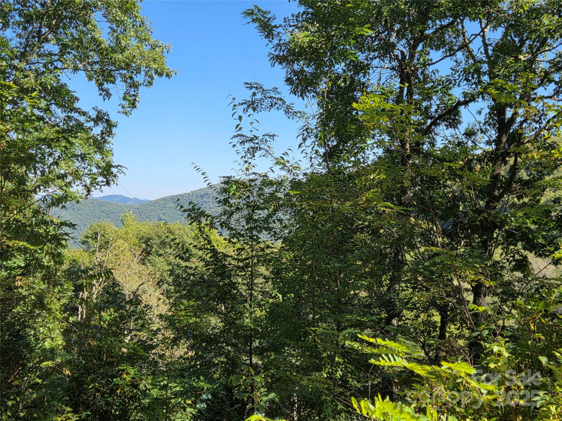 720 Autumn Drive - Photo 24