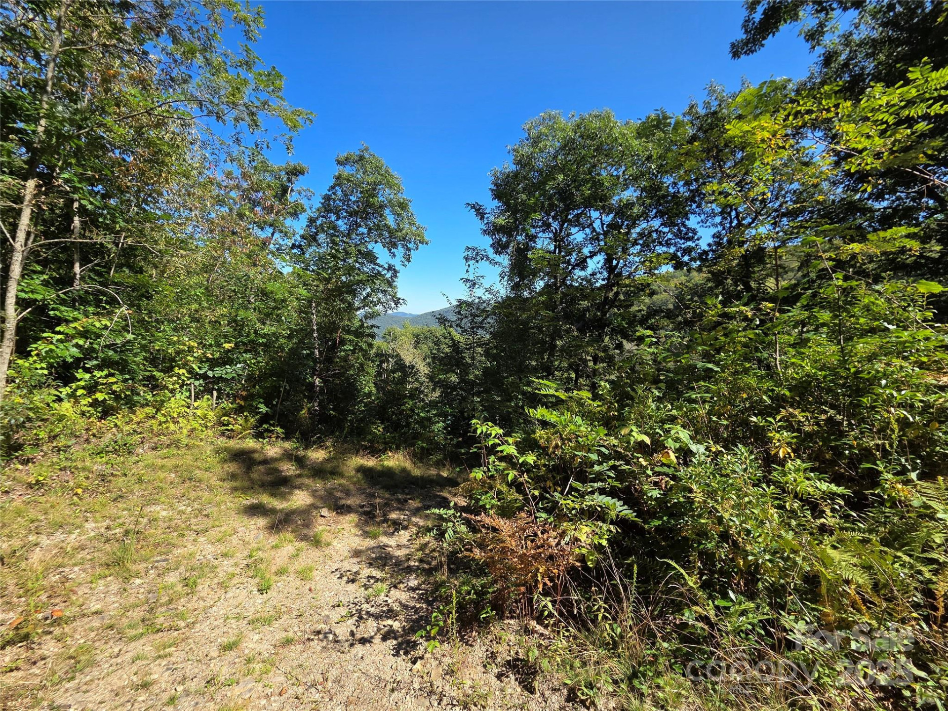 720 Autumn Drive - Photo 28