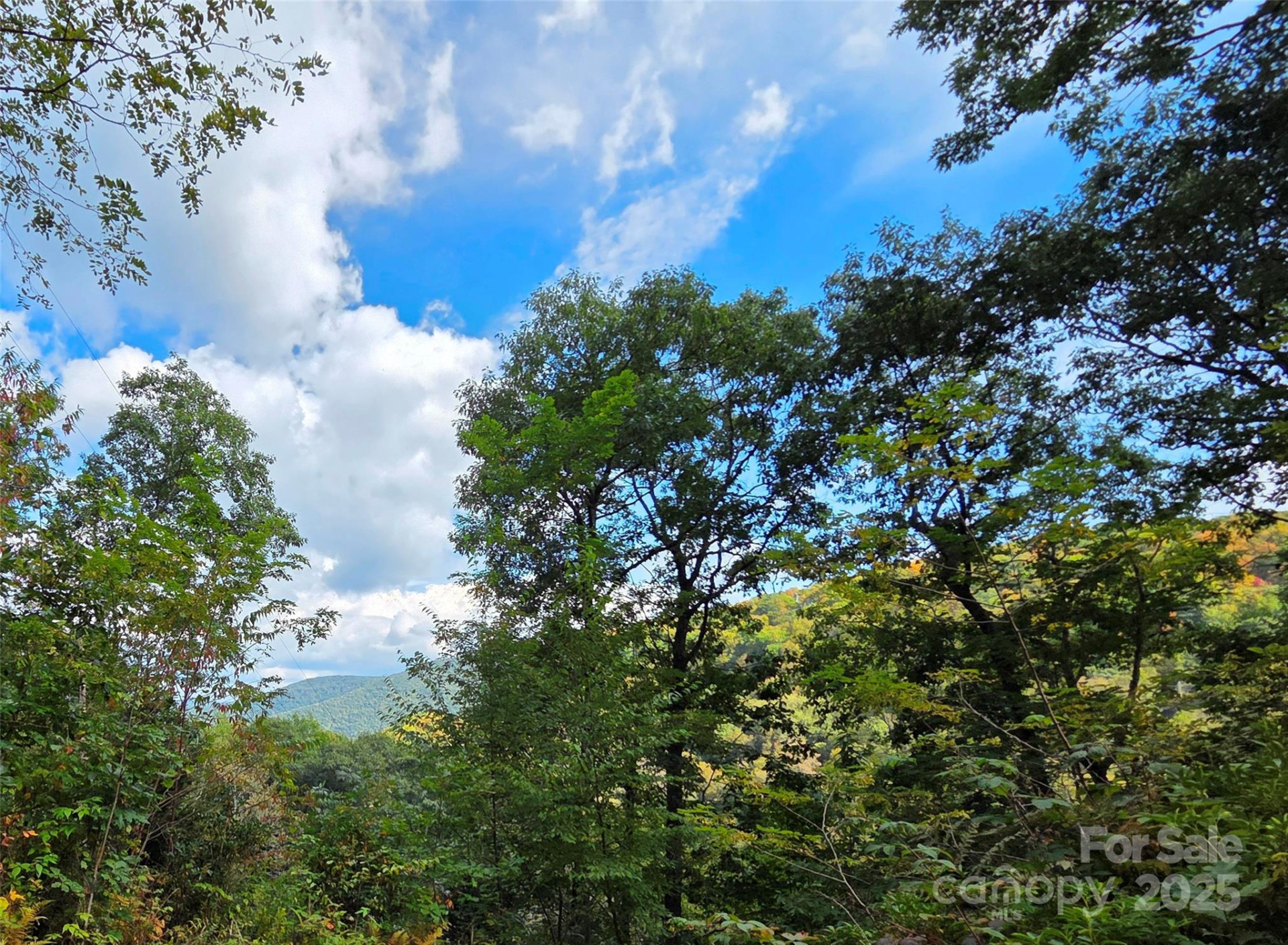 720 Autumn Drive - Photo 4