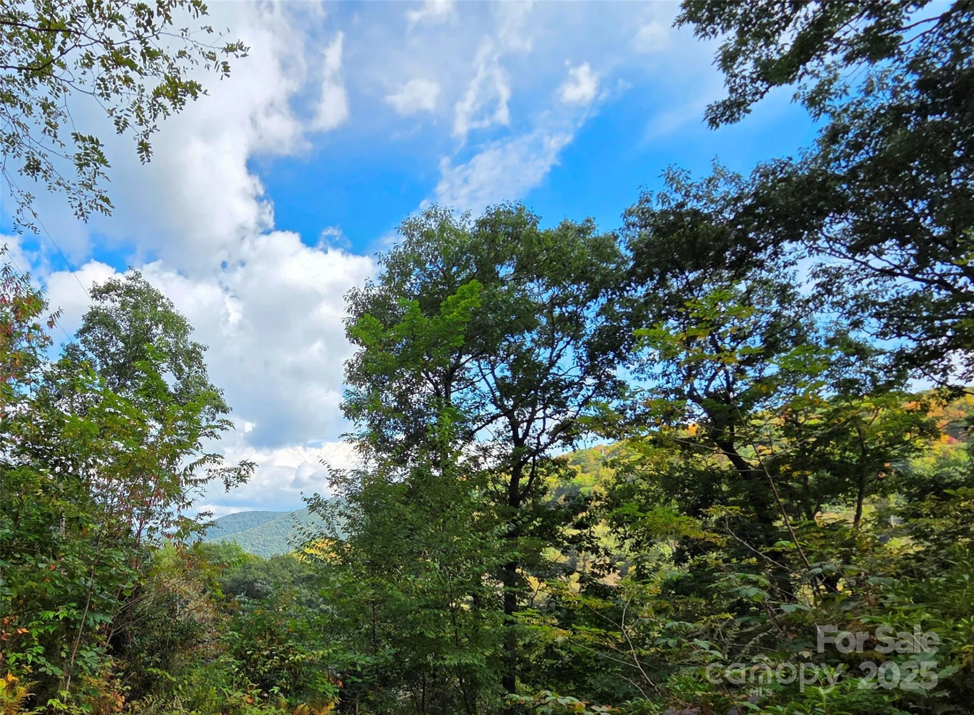 720 Autumn Drive - Photo 4