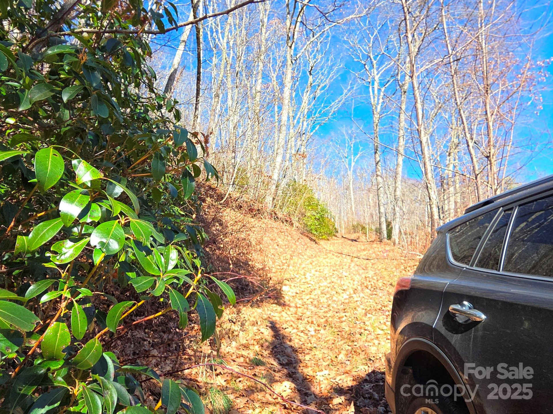 720 Autumn Drive - Photo 6