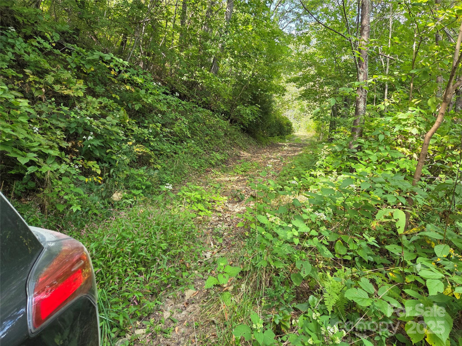 720 Autumn Drive - Photo 7