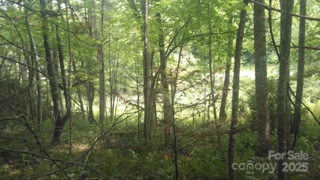 7360 NC 183 Highway