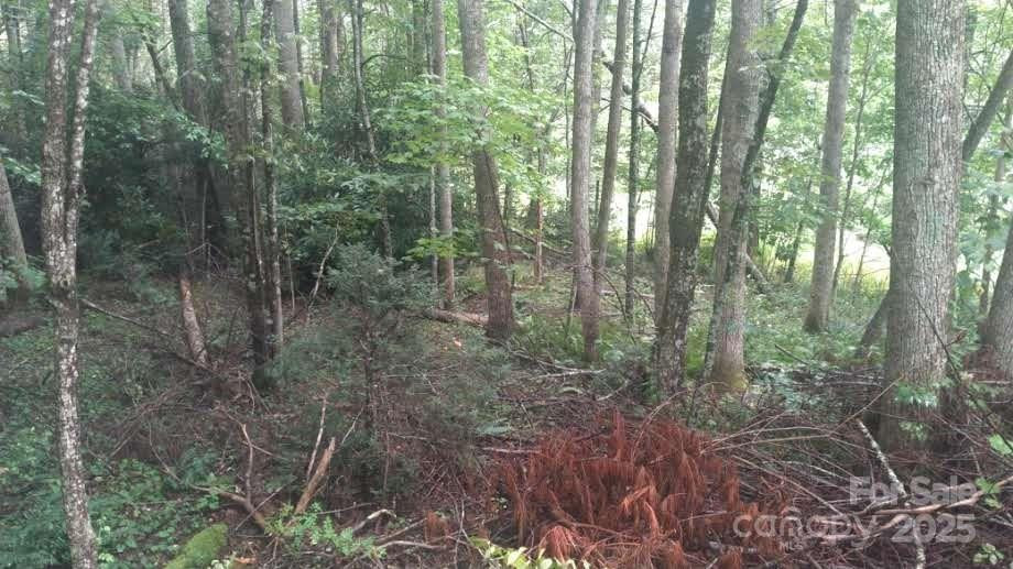 7360 NC 183 Highway - Photo 15