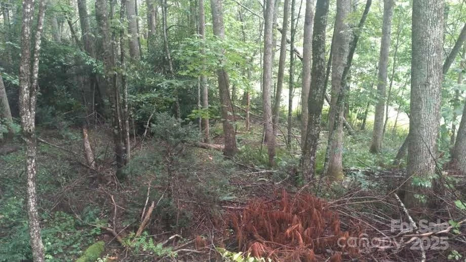 7360 NC 183 Highway - Photo 15
