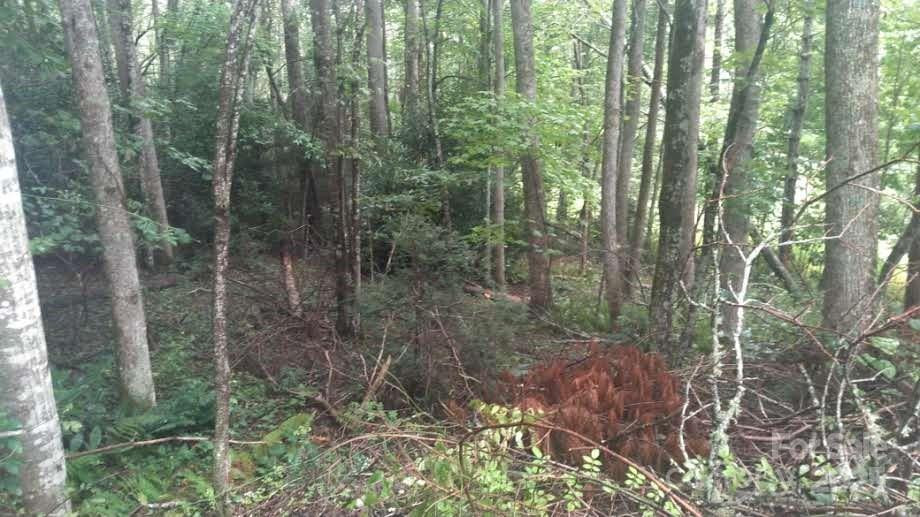 7360 NC 183 Highway - Photo 16