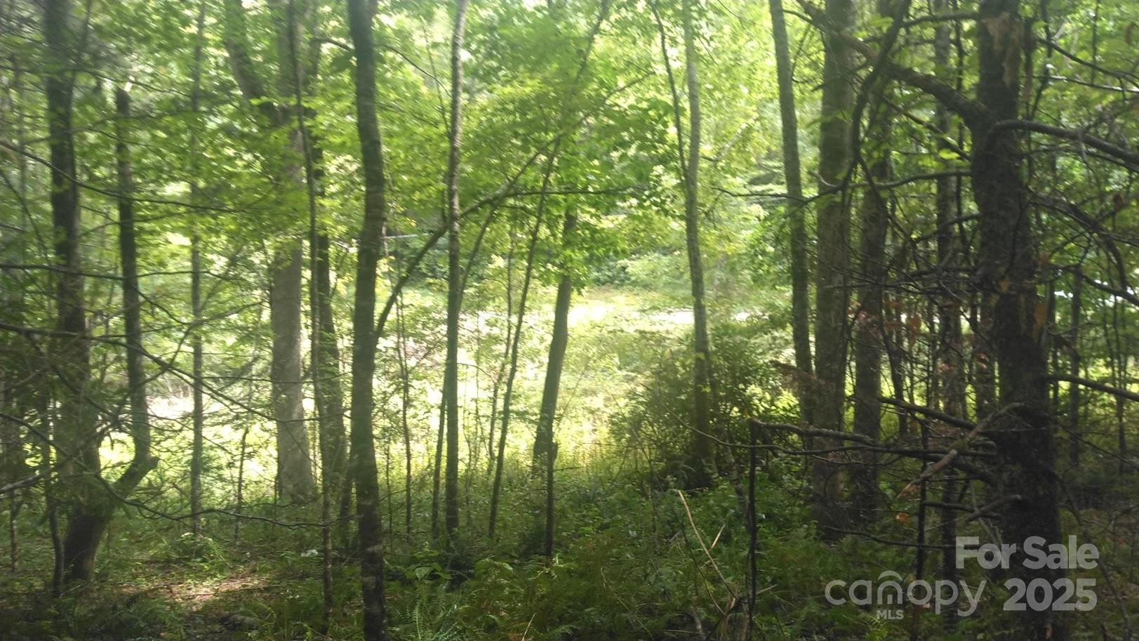 7360 NC 183 Highway - Photo 4