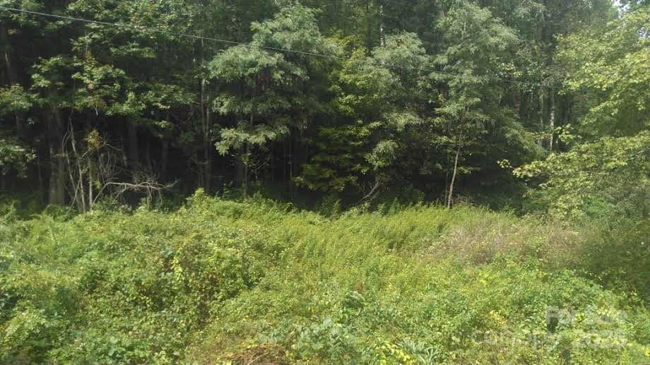 7360 NC 183 Highway - Photo 6