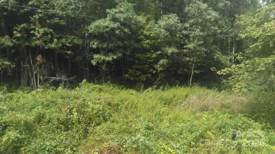 7360 NC 183 Highway - Photo 6