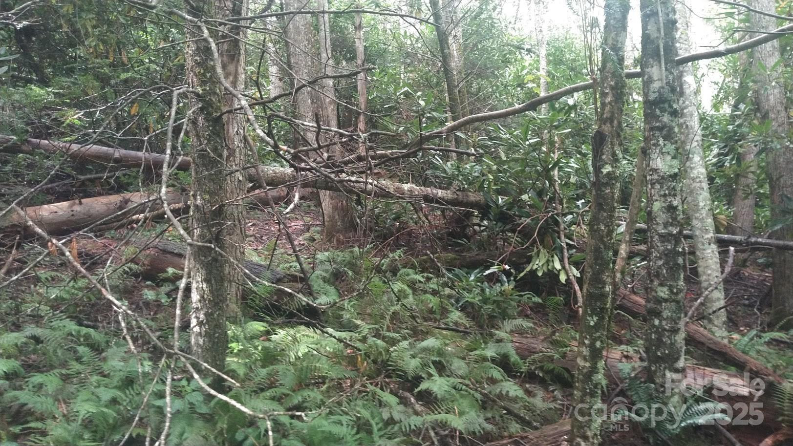 7360 NC 183 Highway - Photo 7