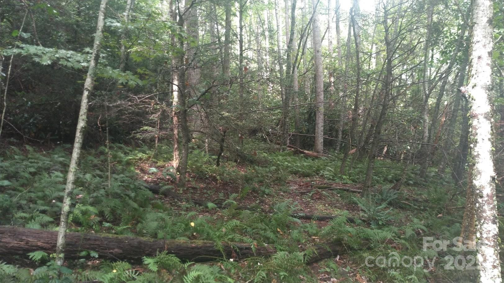 7360 NC 183 Highway - Photo 8