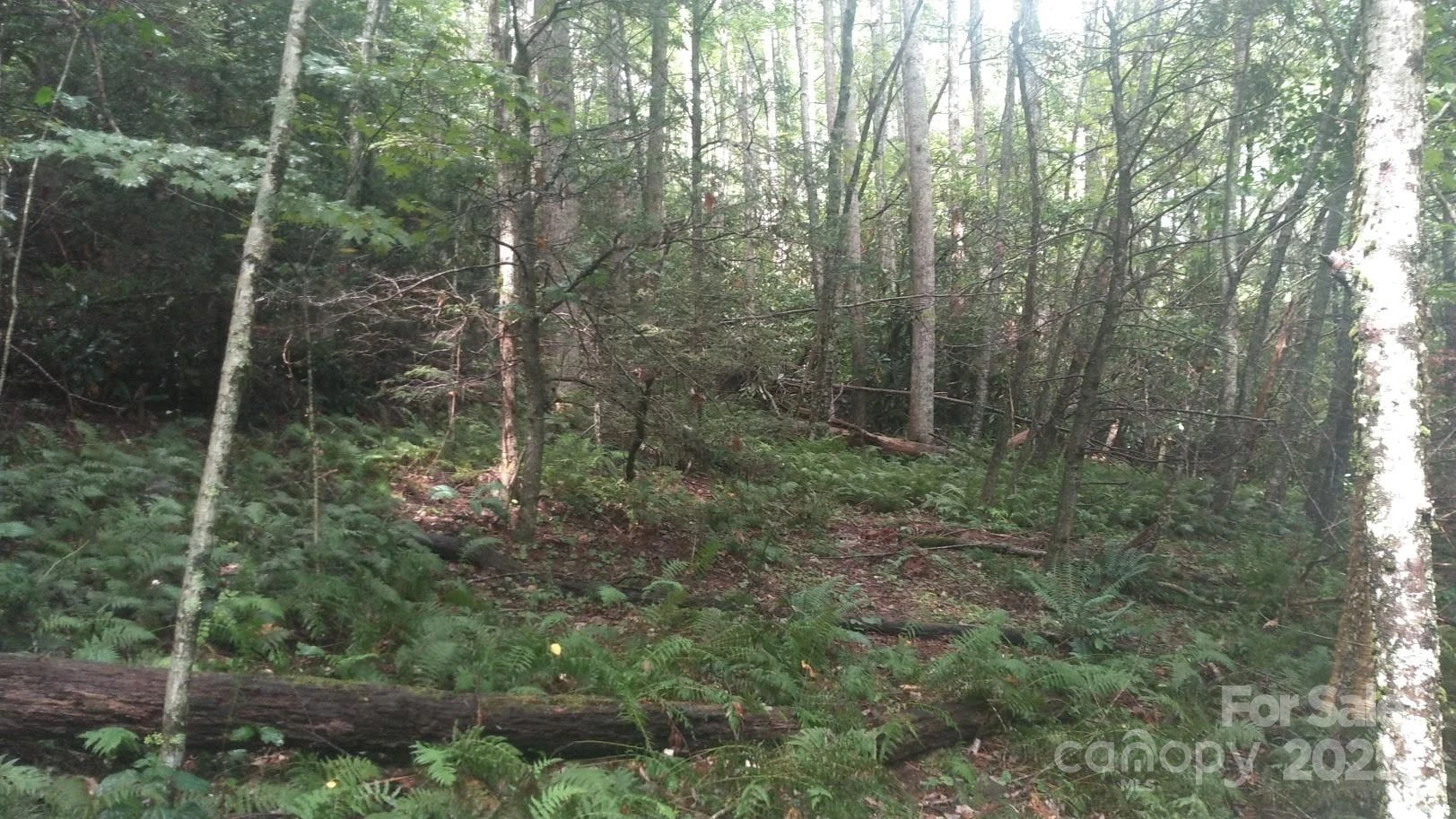 7360 NC 183 Highway - Photo 8