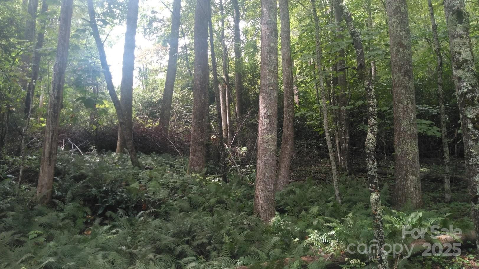 7360 NC 183 Highway - Photo 9