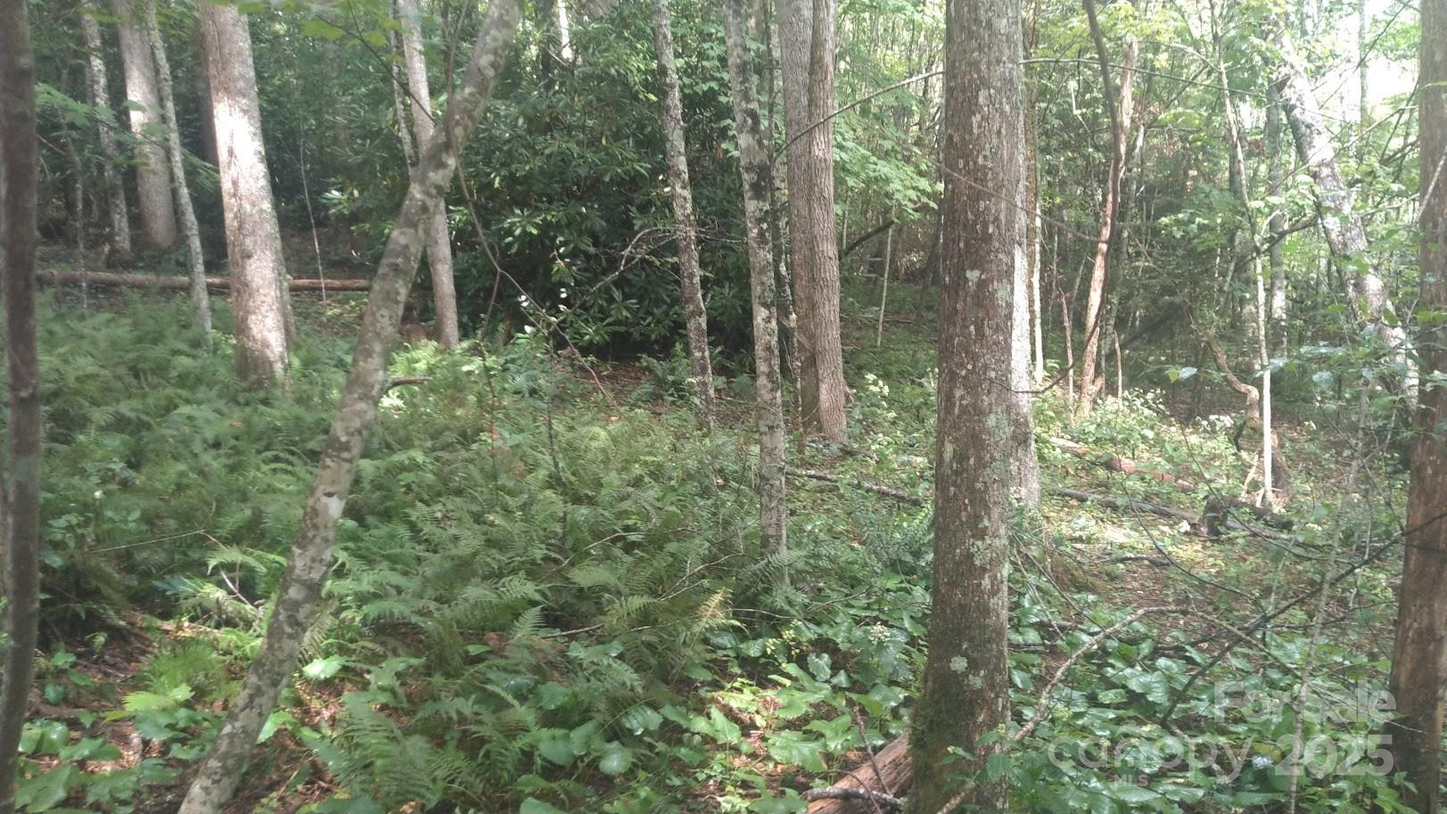 7360 NC 183 Highway - Photo 10