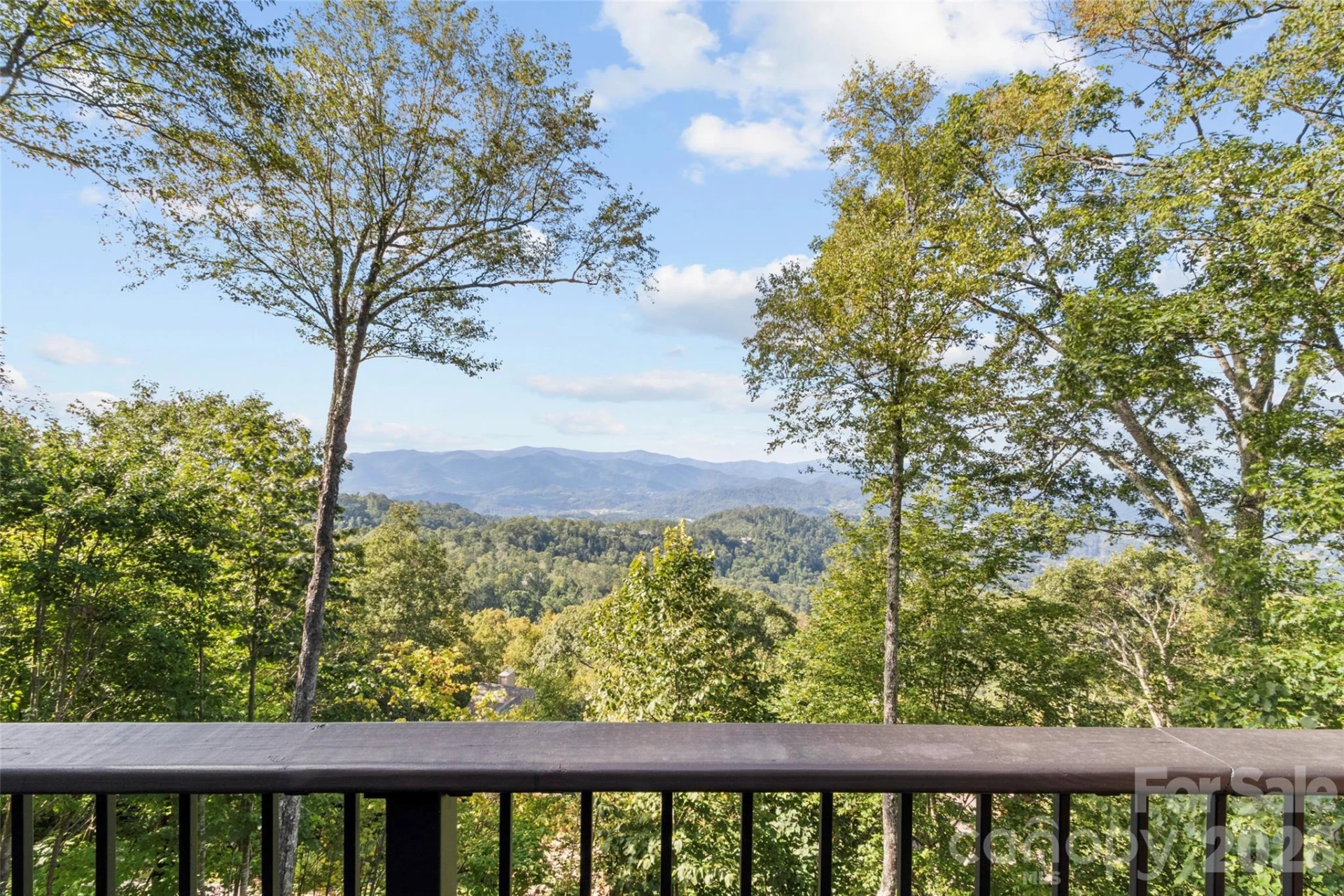 430 Rhododendron Lane - Photo 12