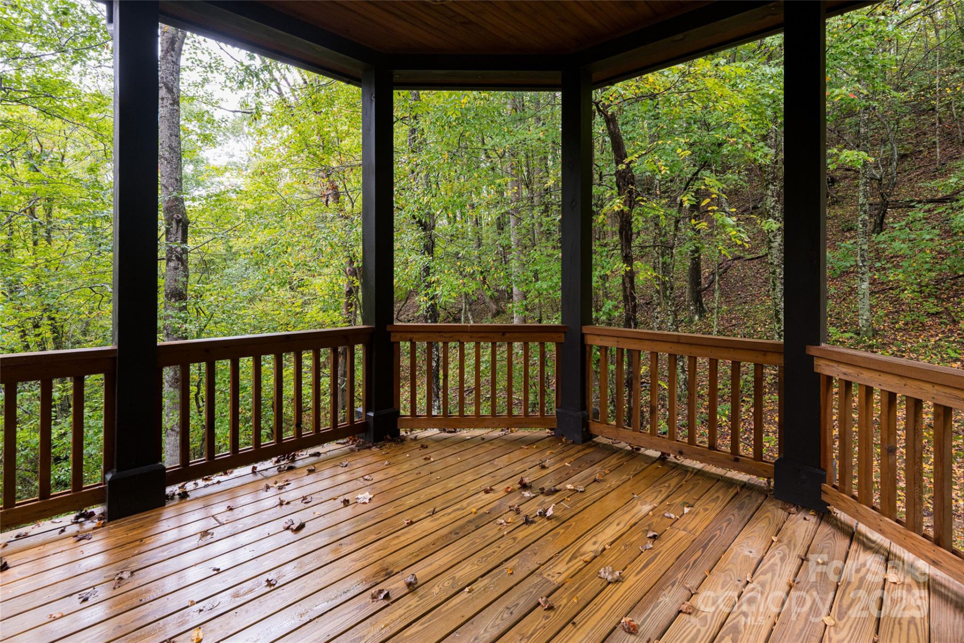 635 Whisper Mountain Drive - Photo 44