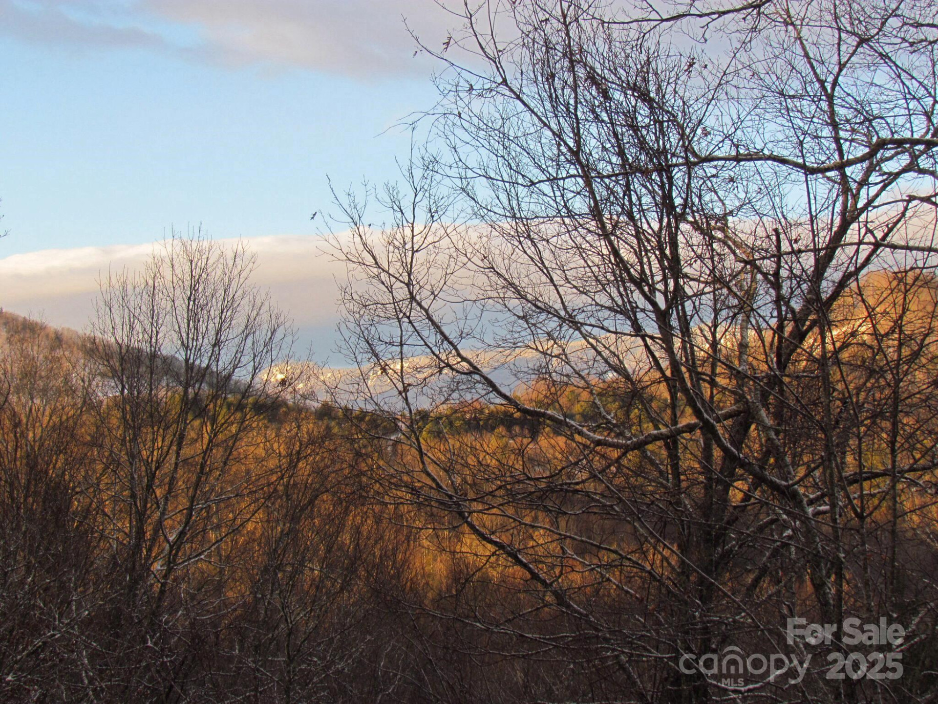 67 Little Bluebird Lane - Photo 44
