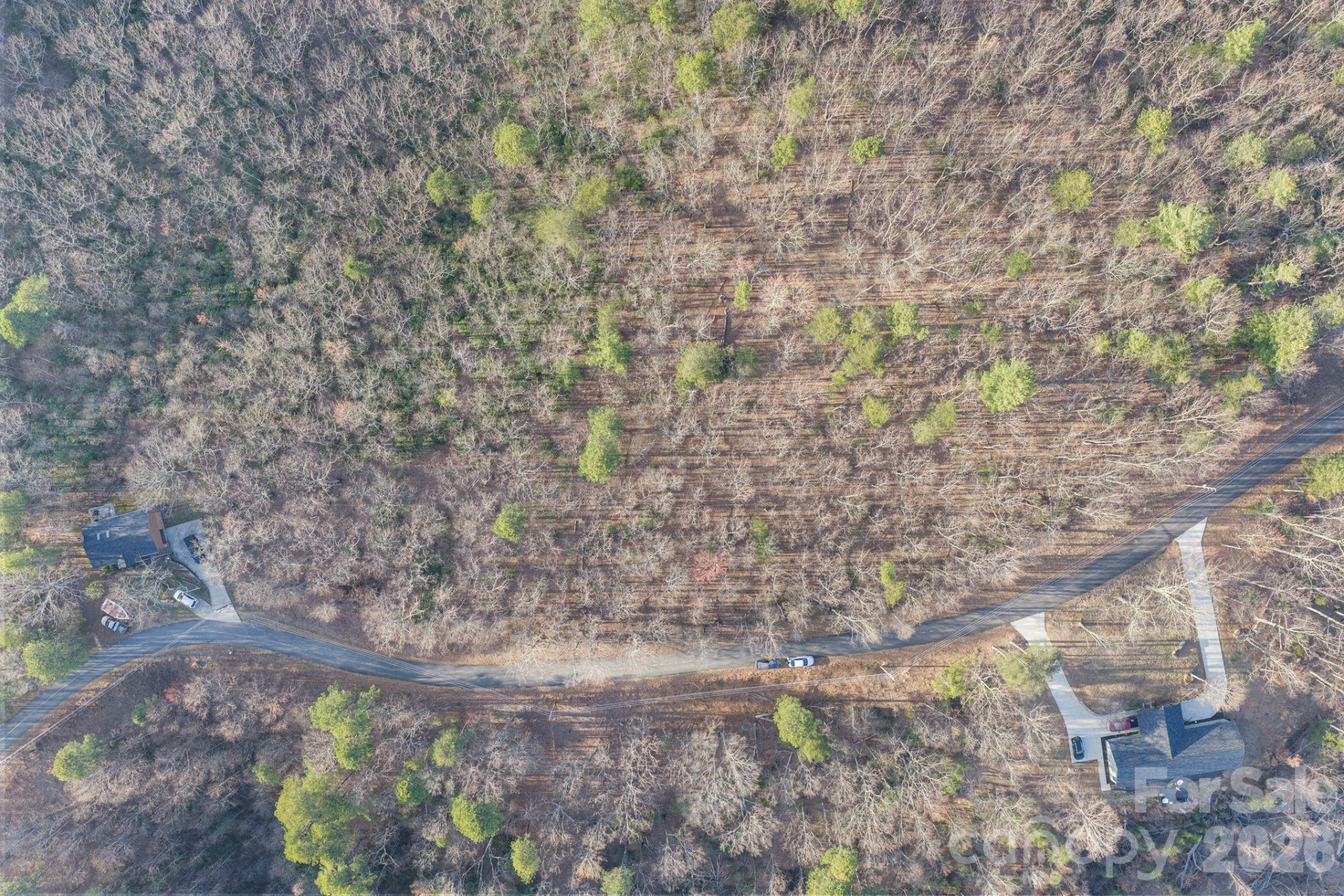 6163 Pine Ridge Drive - Photo 3