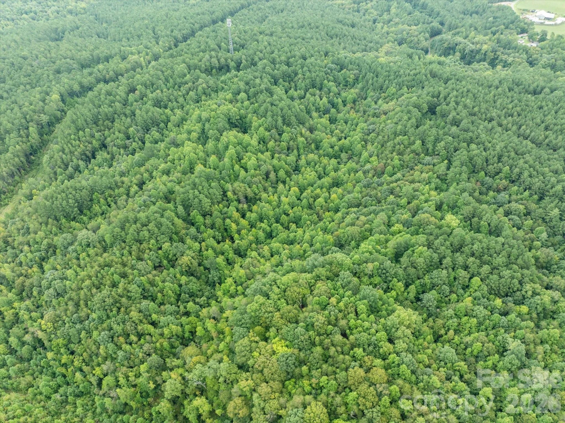 TBD Pea Ridge Road - Photo 23