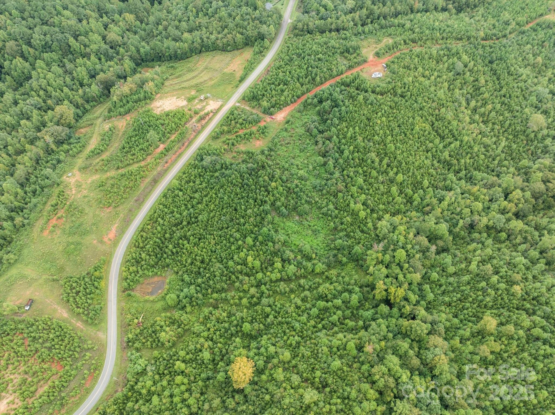 TBD Pea Ridge Road - Photo 13