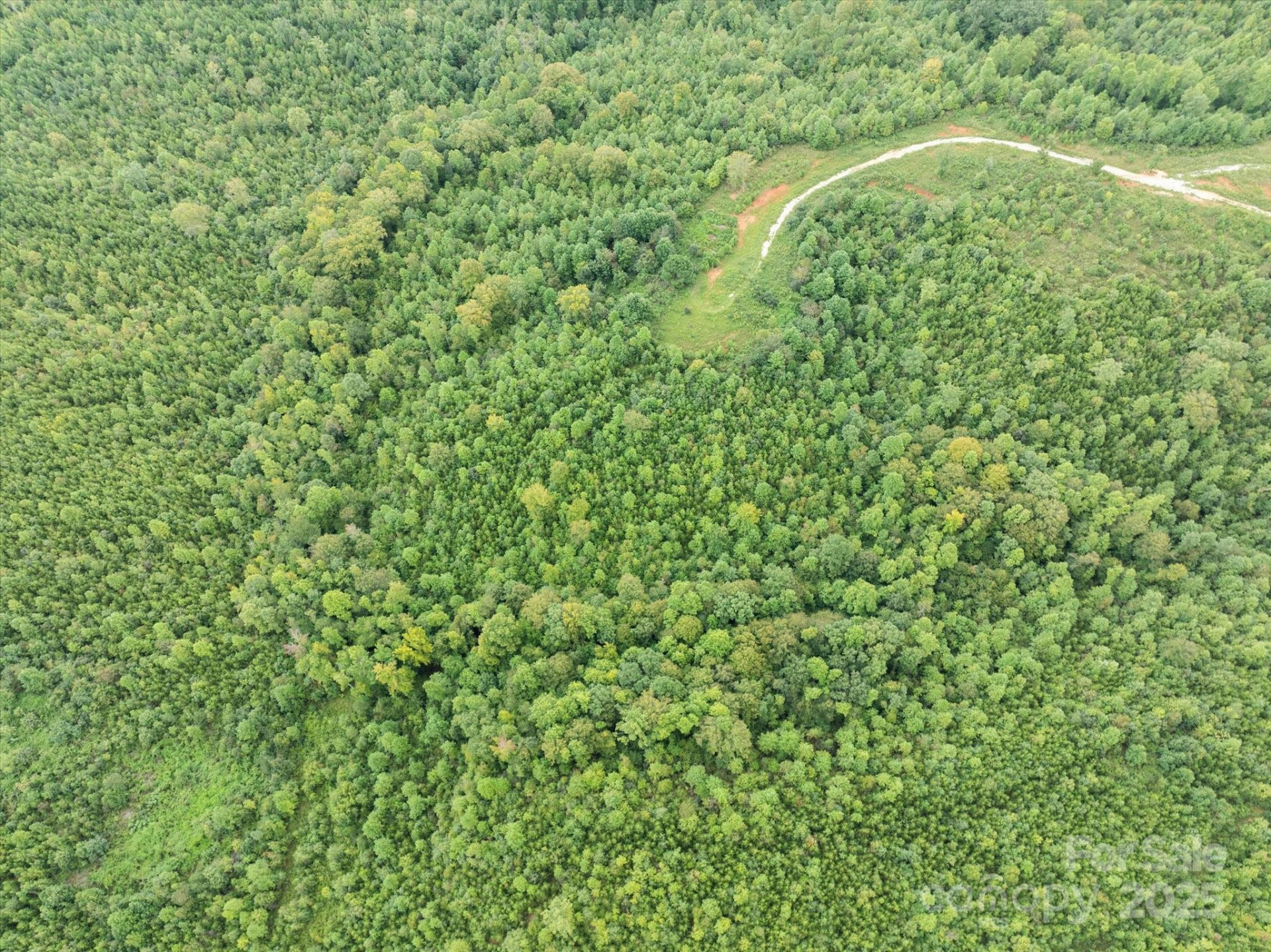 TBD Pea Ridge Road - Photo 14