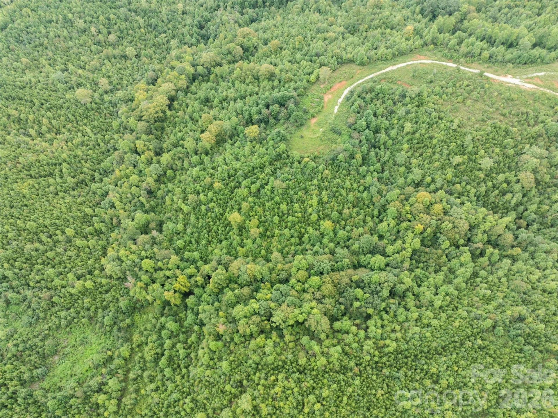 TBD Pea Ridge Road - Photo 27