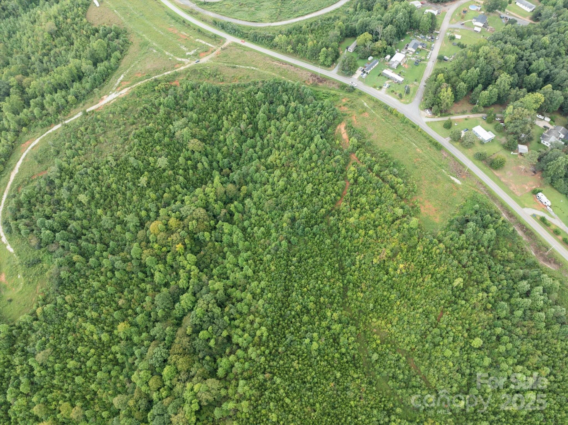 TBD Pea Ridge Road - Photo 16