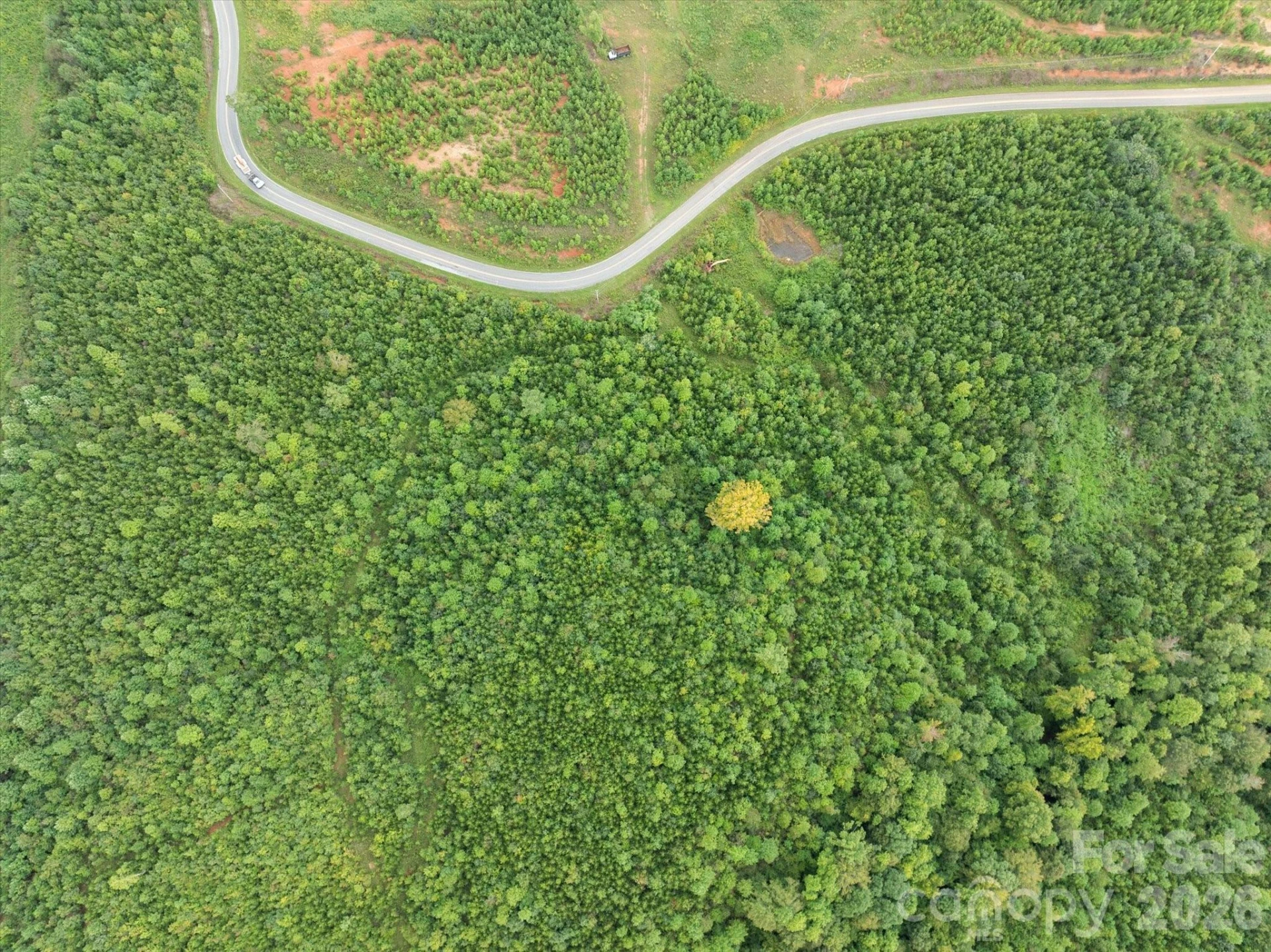 TBD Pea Ridge Road - Photo 37