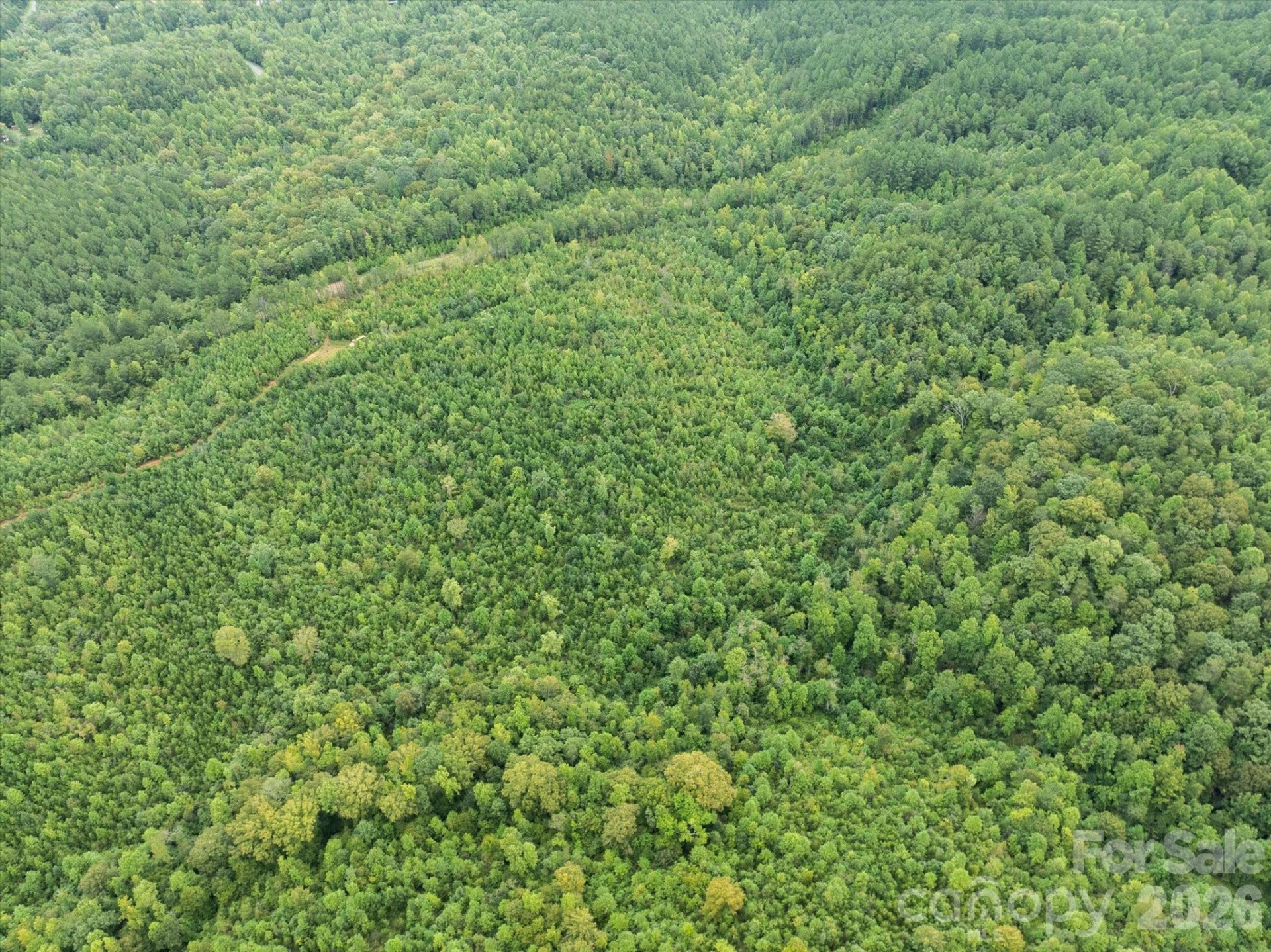 TBD Pea Ridge Road - Photo 43
