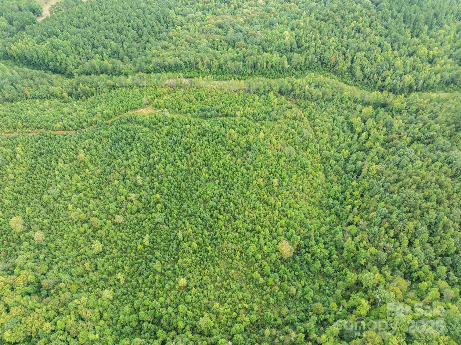 TBD Pea Ridge Road - Photo 7