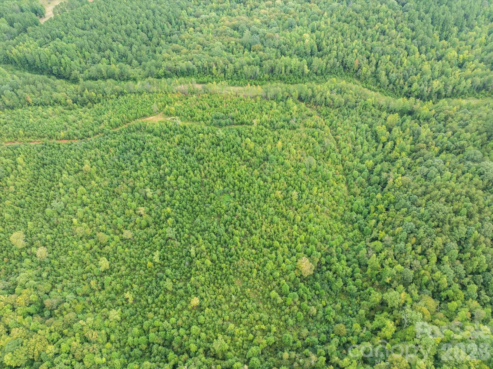 TBD Pea Ridge Road - Photo 13