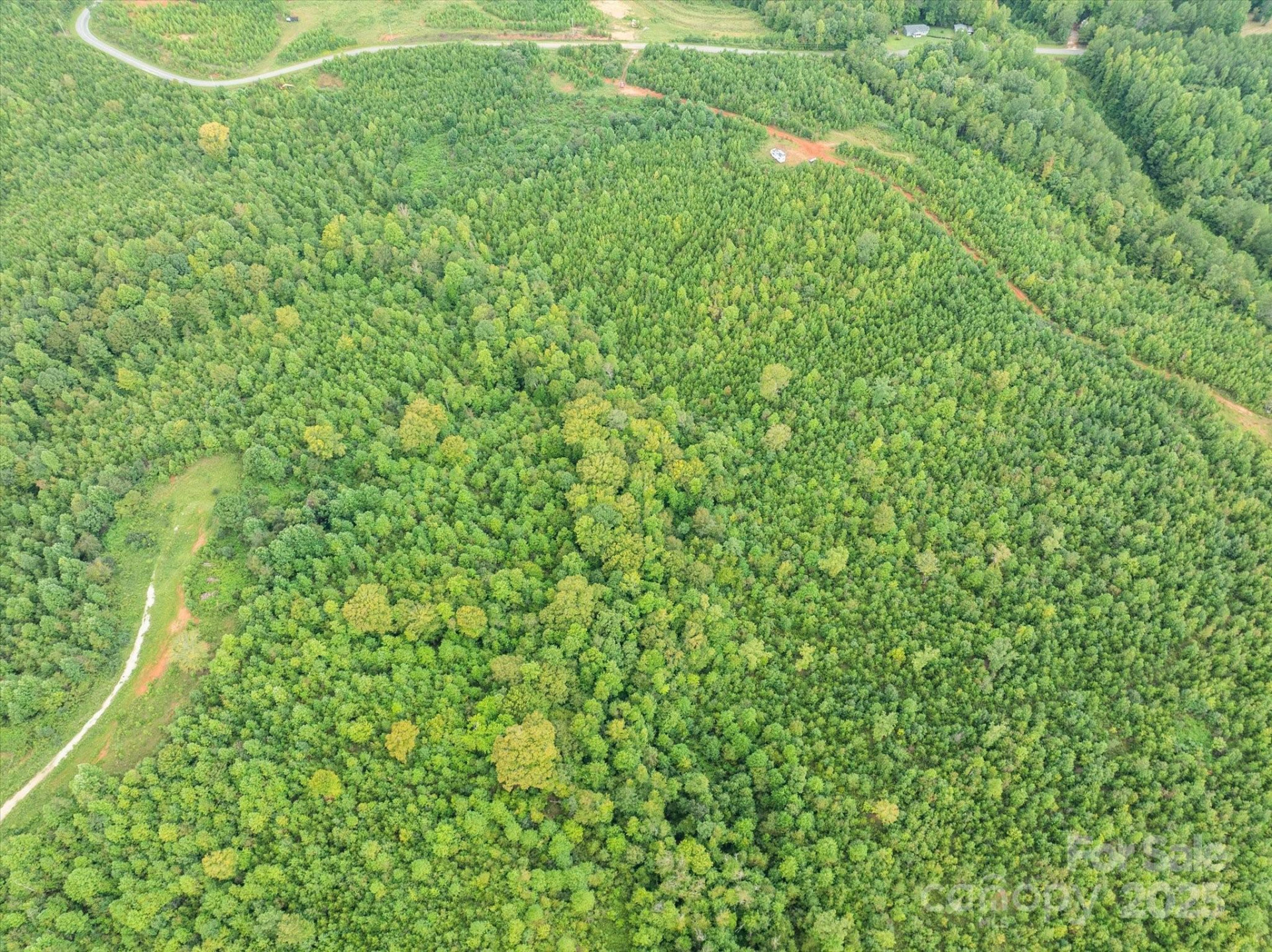 TBD Pea Ridge Road - Photo 8