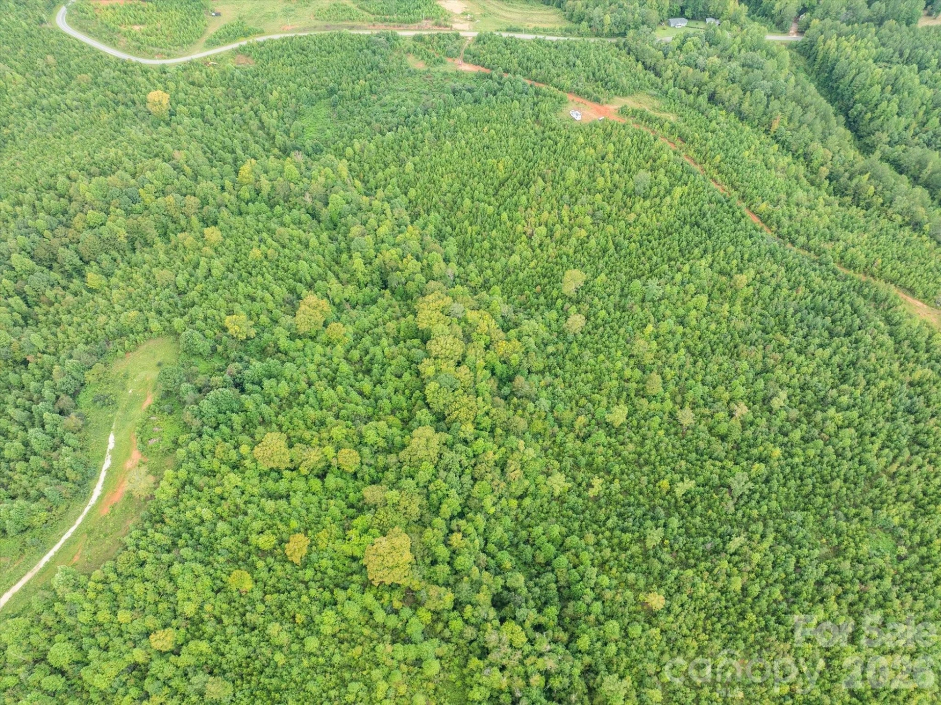 TBD Pea Ridge Road - Photo 15