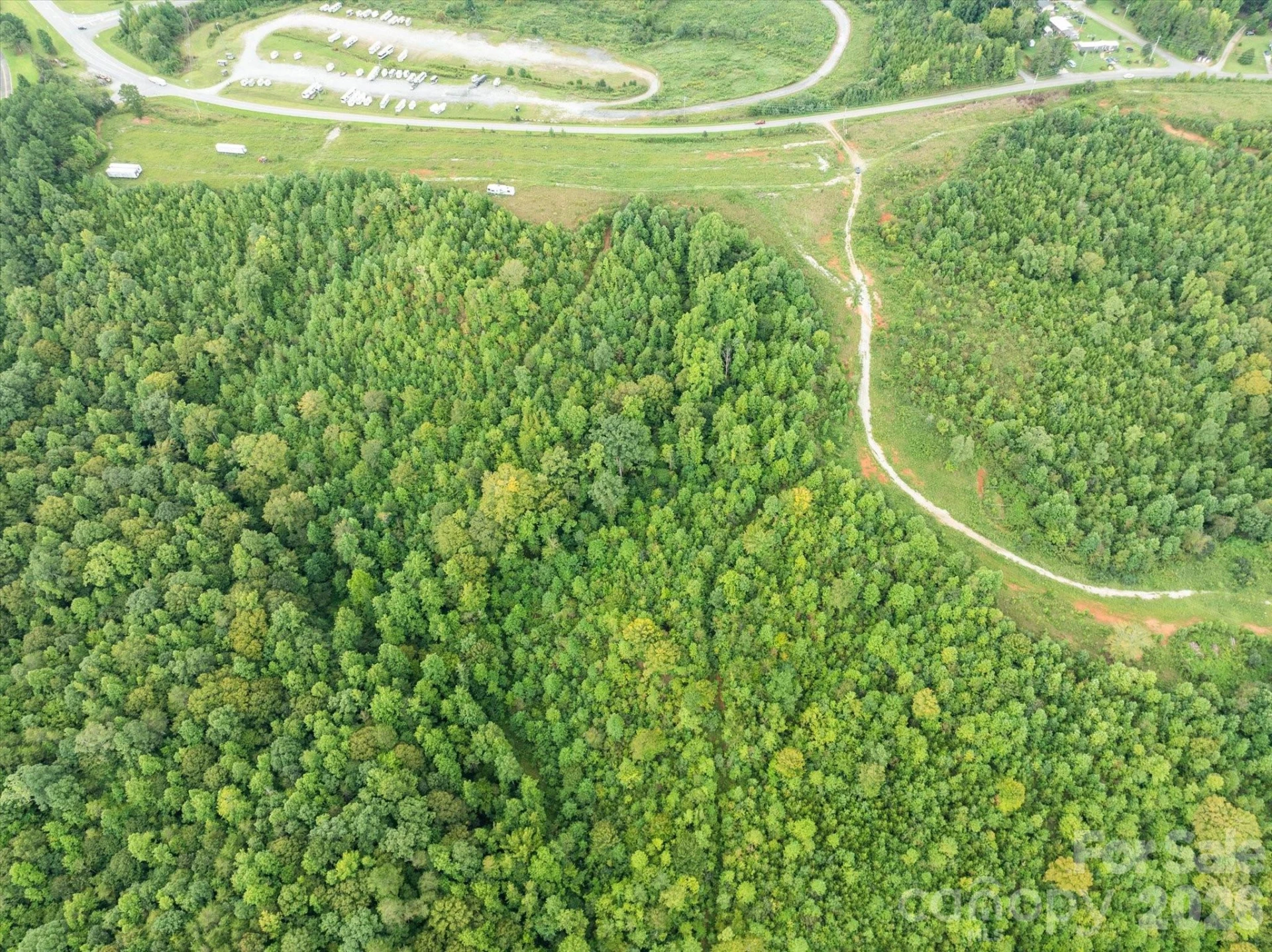 TBD Pea Ridge Road - Photo 19