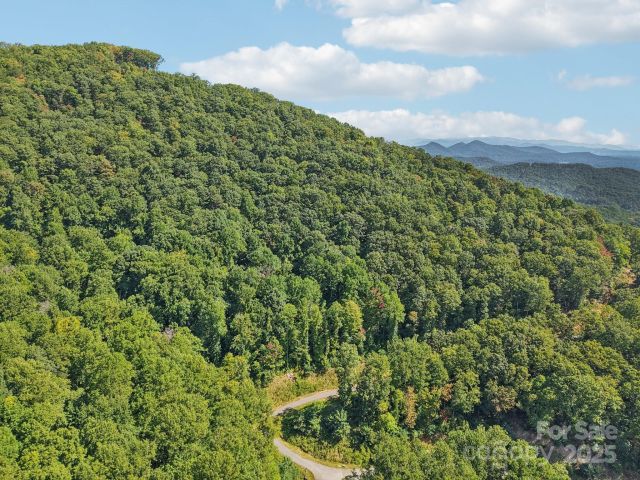 000 Biltmore View Drive, Candler, NC, 28715