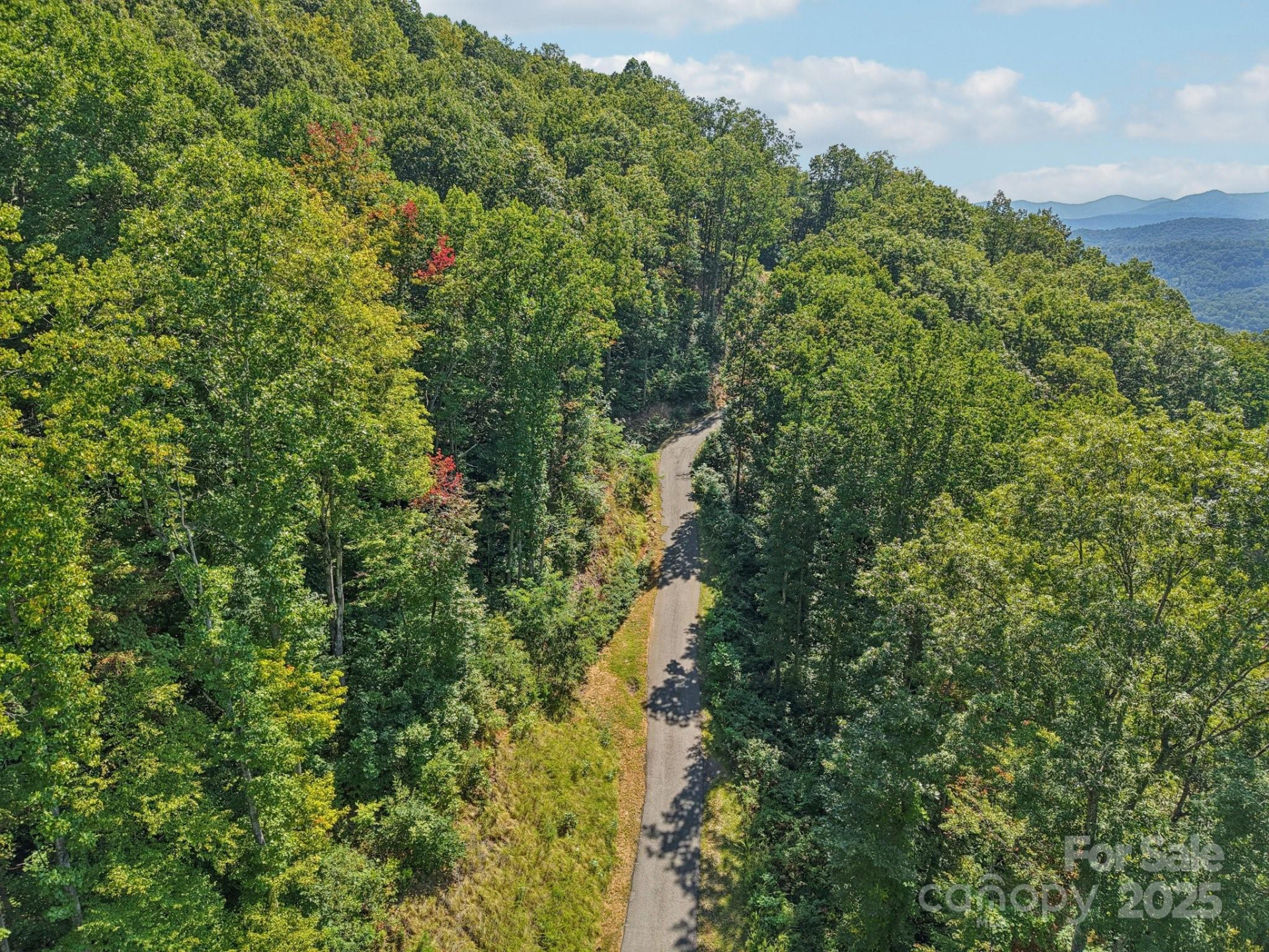 000 Biltmore View Drive #10 - Photo 11