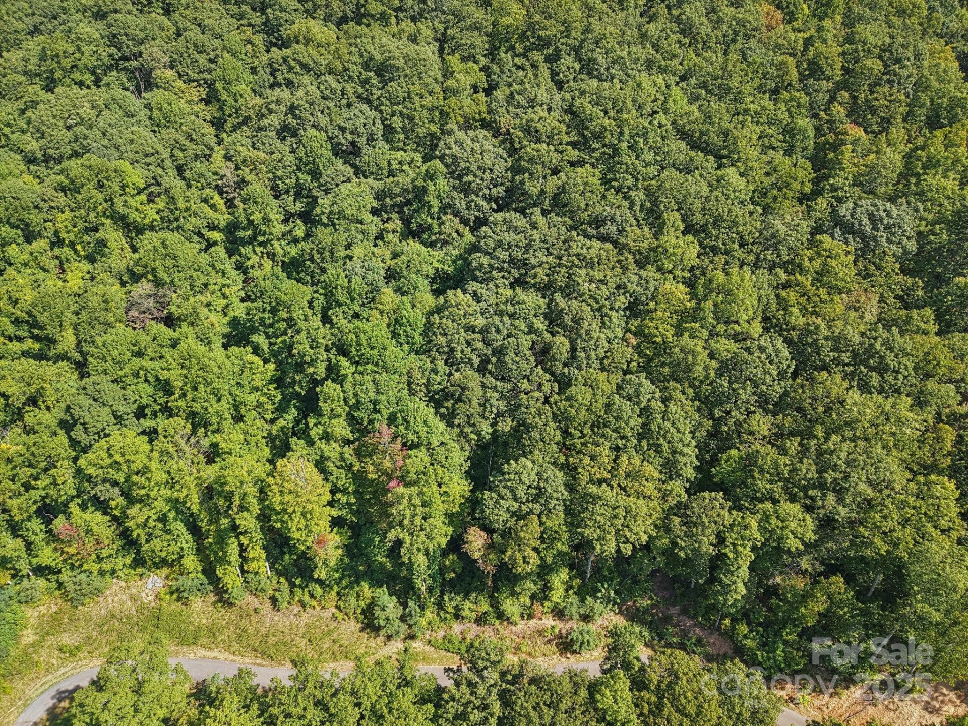 000 Biltmore View Drive #10 - Photo 3