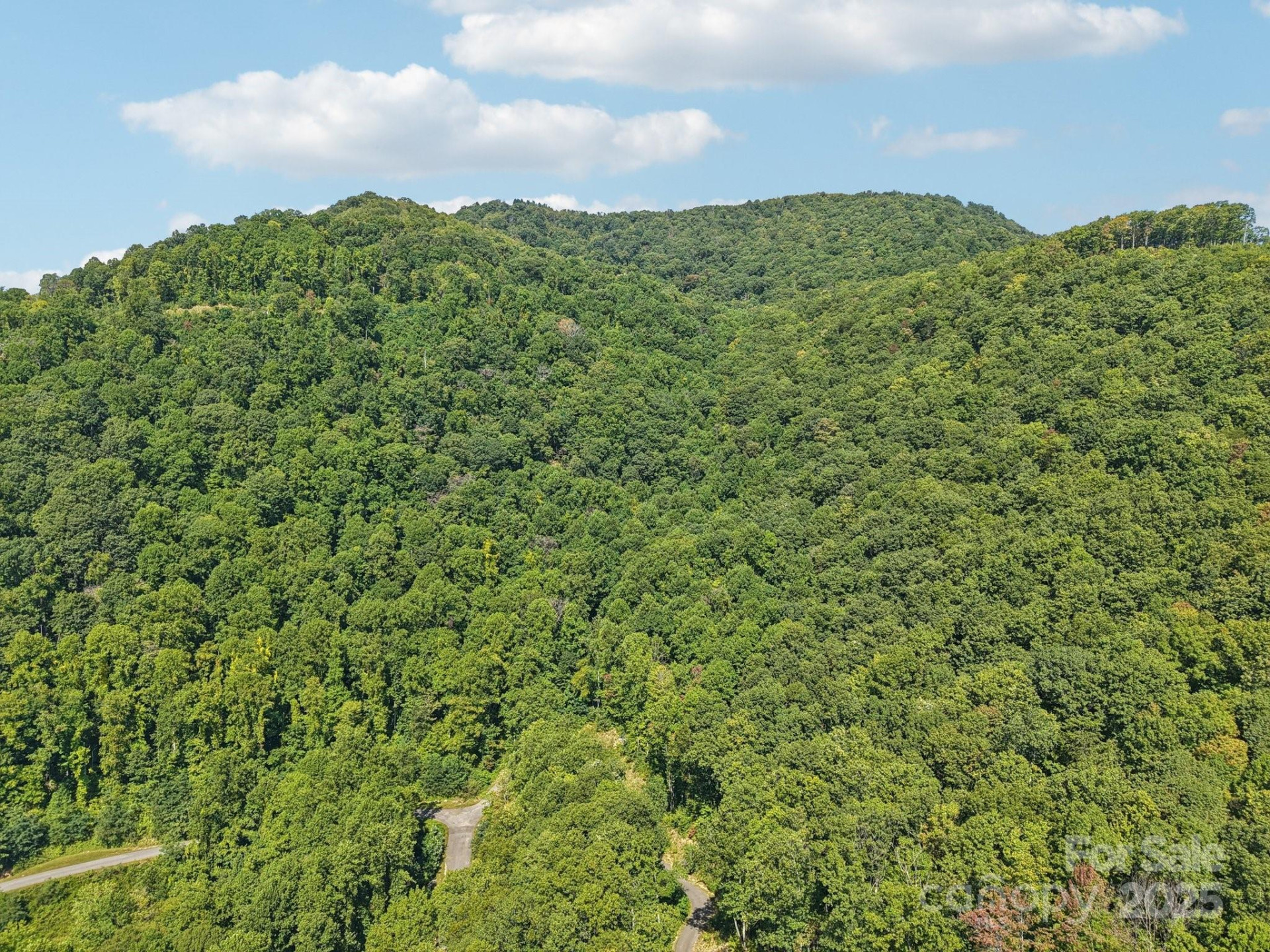 000 Biltmore View Drive #10 - Photo 4