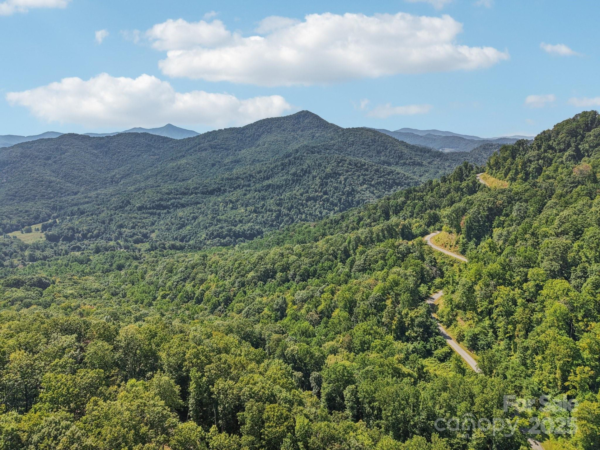 000 Biltmore View Drive #10 - Photo 10