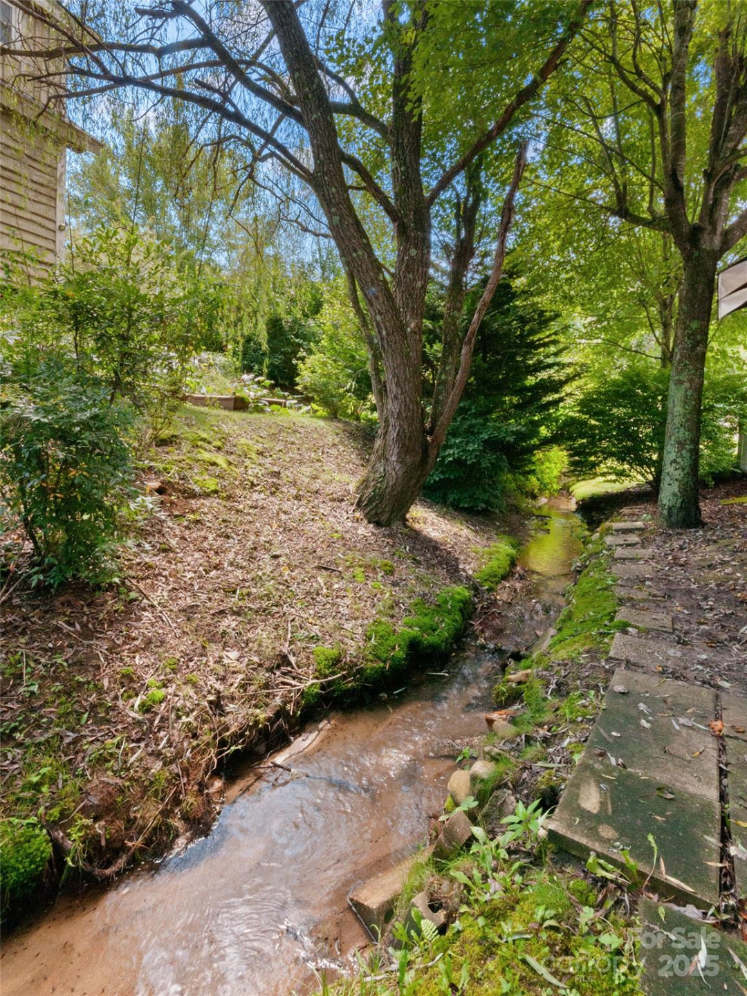 161 Summer Place Drive - Photo 22