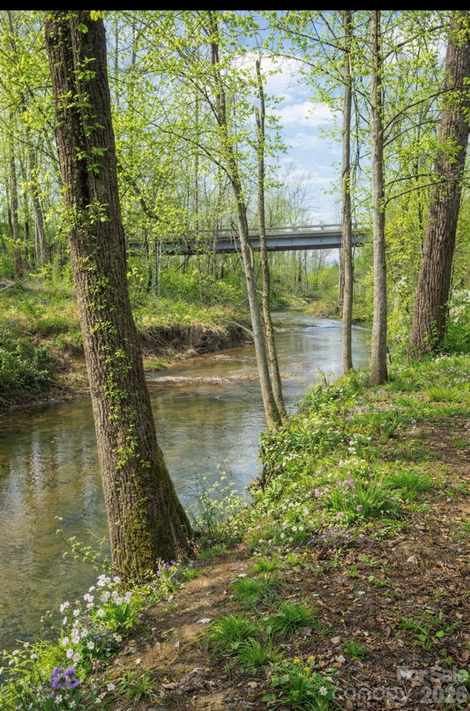 9/1 Old Mill Lane - Photo 2