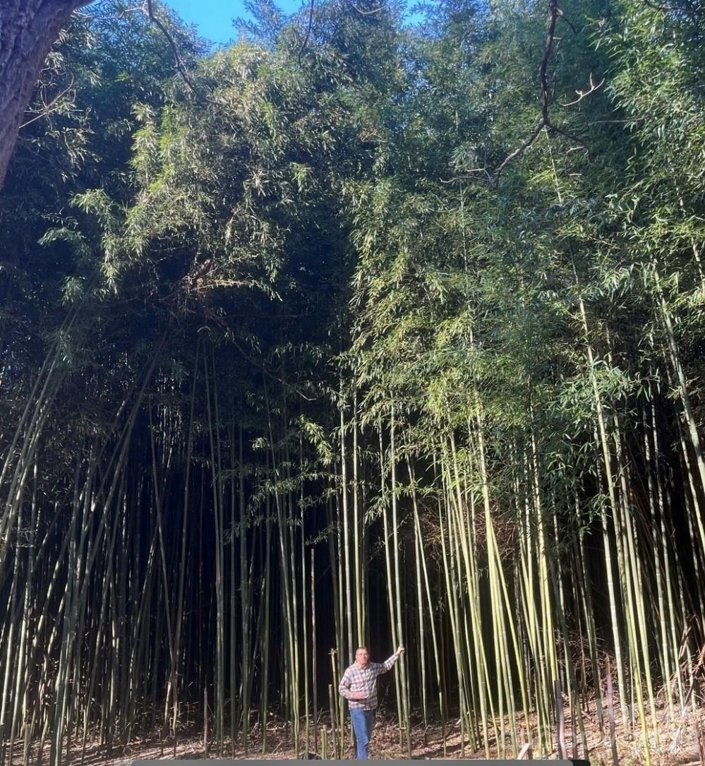 9/1 Old Mill Lane - Photo 24